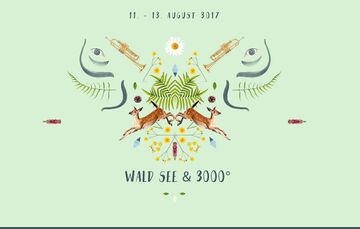 3000Grad Festival 2017.jpg