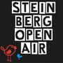 Steinberg Open Air.jpg