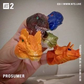 2019-02-05 - Prosumer - NTS Radio.jpg