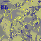 2022-11-18 - Faery, Lynne - Netil Radio