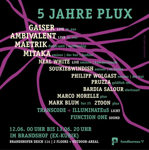 File:2010-06-13 - 5 Years Plux, Brandshof -3.jpg