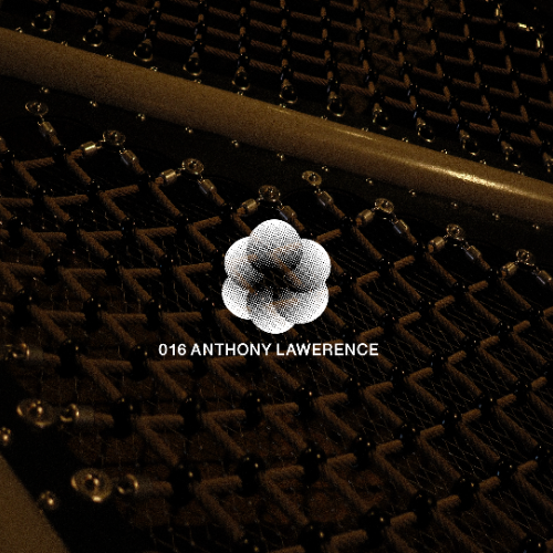 File:2026-06-22 - Anthony Lawerence - Fibre Podcast 016.png