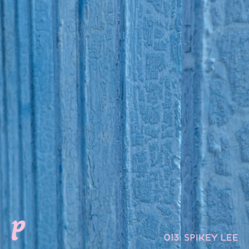 File:2025-10-02 - Spikey Lee - Playhaus 013.png