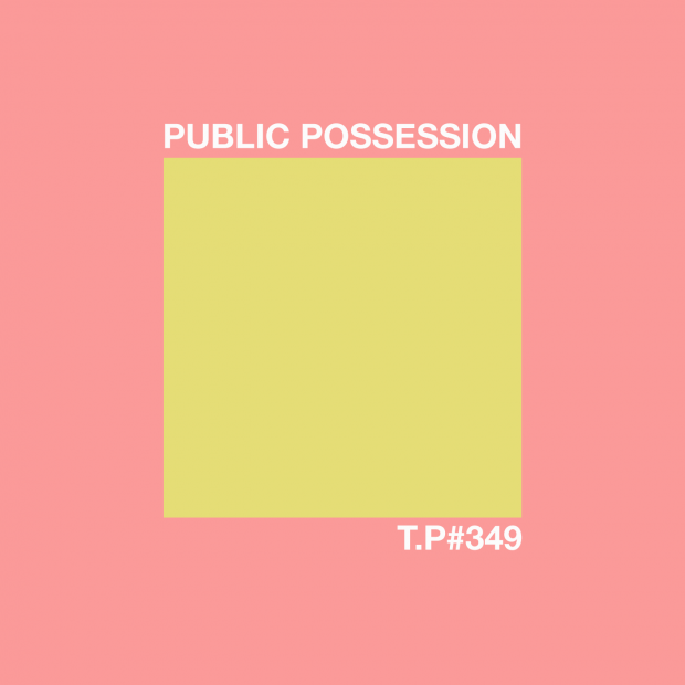 File:2014-05-27 - Marvin, Valentino (Public Possession) - Test Pressing 349.png