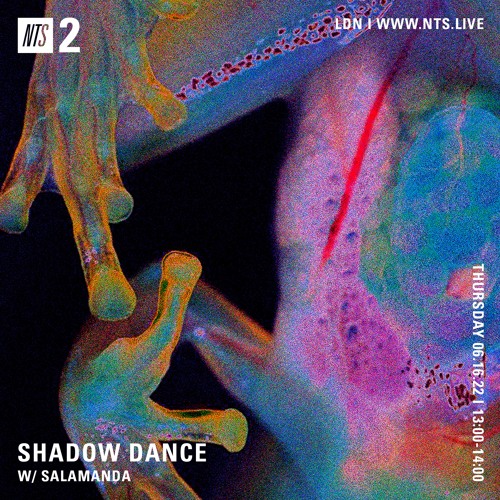 File:2022-06-16 - Salamanda - NTS Radio.jpg