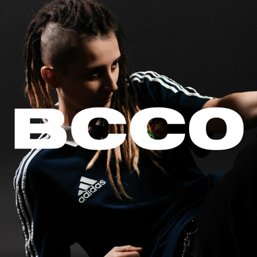 File:2025-02-17 - NASI - BCCO Mix Series 527.png