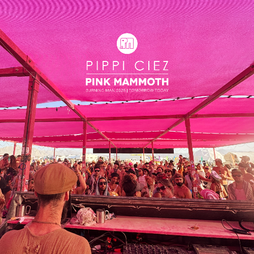 File:2025-08-30 - Pippi Ciez @ Pink Mammoth, Burning Man.png
