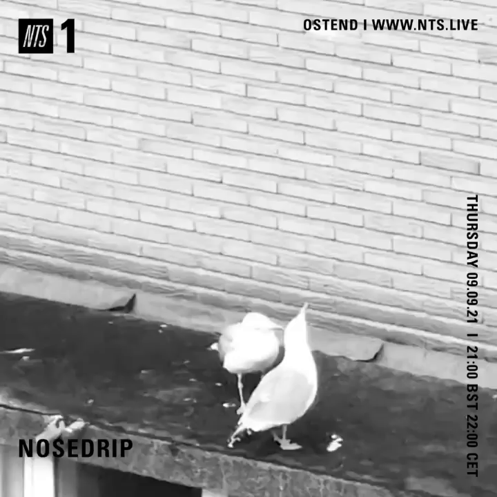 File:2021-09-09 - Nosedrip - NTS Radio.gif