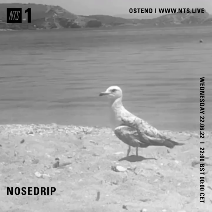 File:2022-06-22 - Nosedrip - NTS Radio.gif