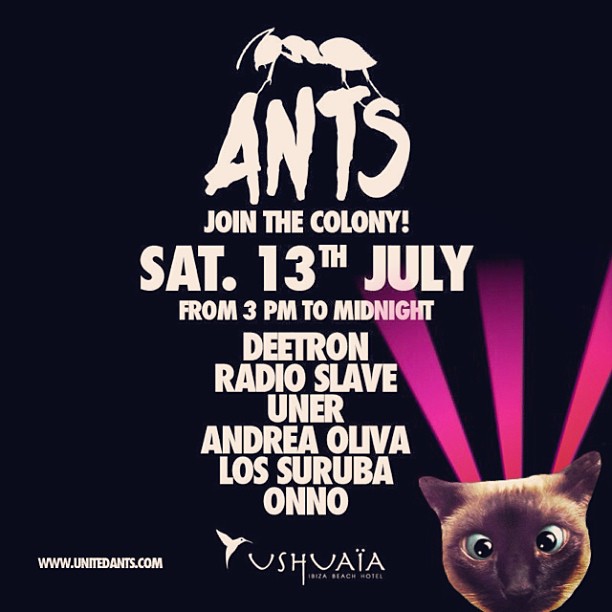File:2013-07-13 - ANTS - Join The Colony!, Ushuaia.jpg