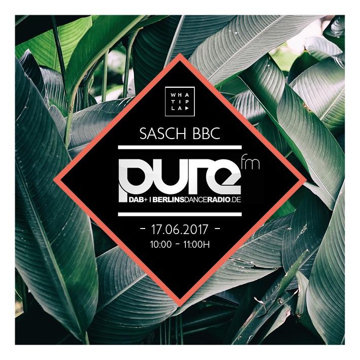 File:2017-06-17 - Sasch BBC - WHATIPLAY Radio Show.jpg