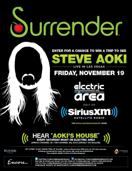 File:2010-11-19 - Steve Aoki @ Surrender Nightclub.jpg