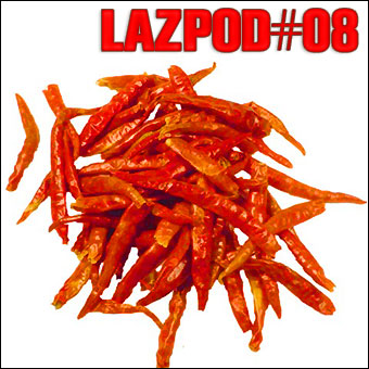 2008-07-15 - Damian Lazarus - Lazpod 8.jpg