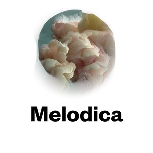 2015-07-27 - Chris Coco - Melodica.jpg