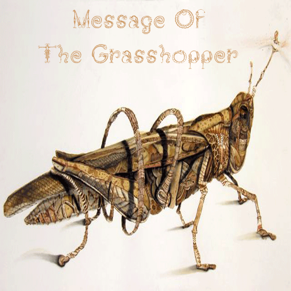 File:2011-06-07 - Osunlade - Message Of The Grasshopper.png
