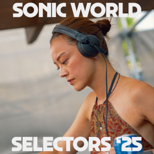 File:2025-08-2X - DJ MARIA. @ Dekmantel Selectors.png