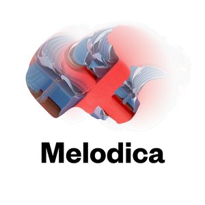 2015-05-25 - Chris Coco - Melodica.jpg