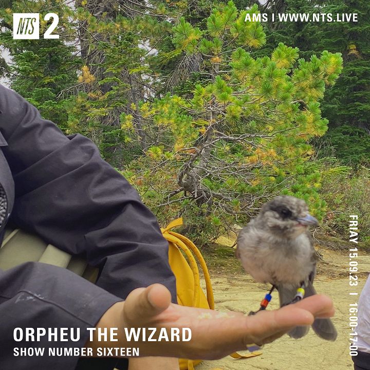 File:2023-09-15 - Orpheu The Wizard - NTS Radio.jpg