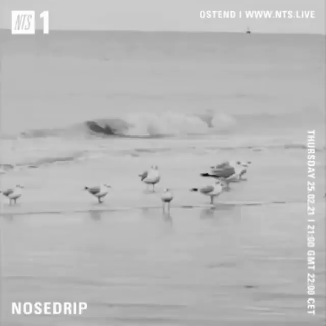 File:2021-02-25 - Nosedrip - NTS Radio.gif