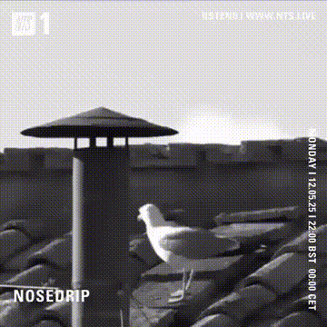 2025-05-12 - Nosedrip - NTS Radio.gif