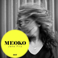 2013-03 - Jane Fitz - Meoko Podcast 067.jpg