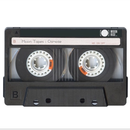 File:2016-10-12 - Osmose - Moon Tapes.jpg