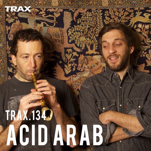File:2015-02-13 - Acid Arab - Trax 134.jpg
