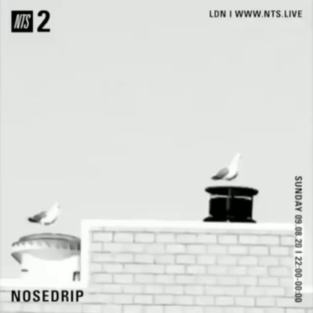 File:2020-08-09 - Nosedrip - NTS Radio.gif