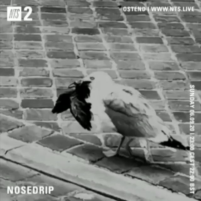 File:2020-09-06 - Nosedrip - NTS Radio.gif