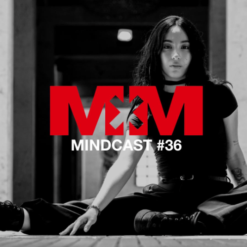 File:2025-09-16 - Shakti (Live PA) - Mindcast 36.png