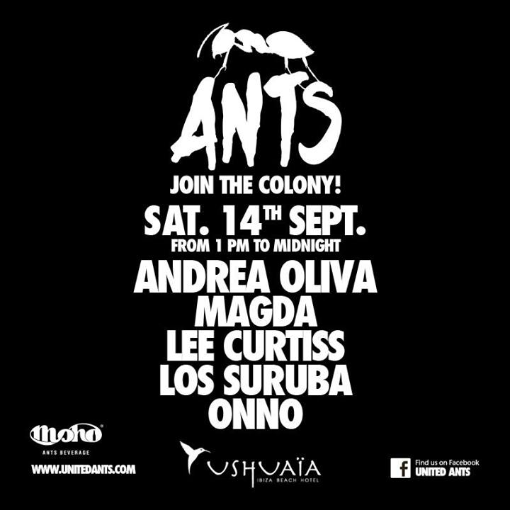 File:2013-09-14 - ANTS - Join The Colony!, Ushuaia -2.jpg