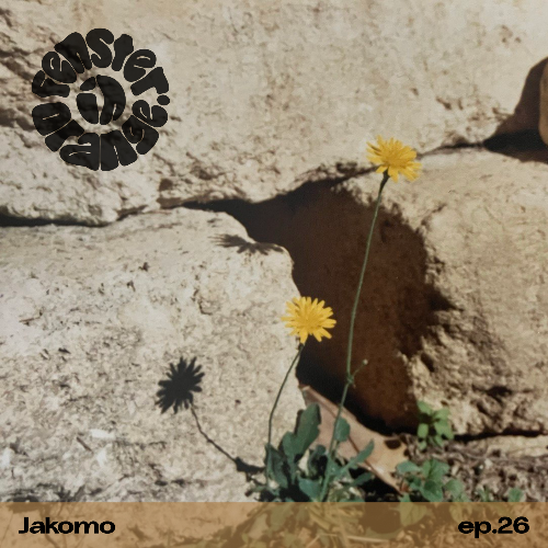 File:2026-07-07 - Jakomo - Fenster In Orange 26.png