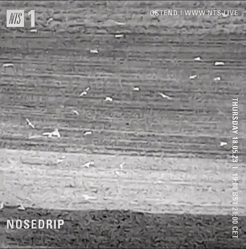 File:2023-05-18 - Nosedrip - NTS Radio.gif
