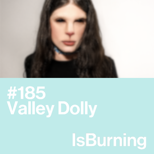 File:2026-02-13 - Valley Dolly - ...IsBurning 185.png