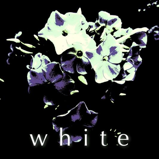 File:2008-08-27 - Alex Meshkov - Cotton Studio - White.jpg