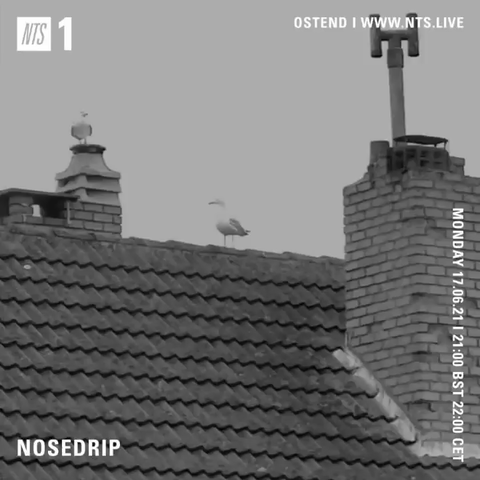 File:2021-06-17 - Nosedrip - NTS Radio.gif