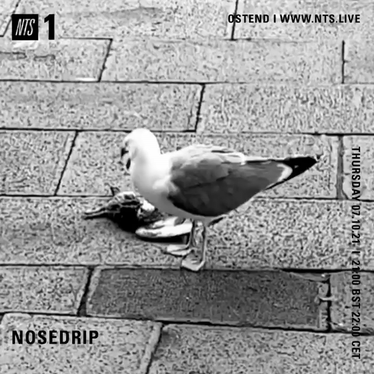 File:2021-10-07 - Nosedrip - NTS Radio.gif