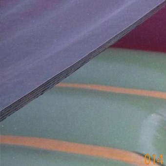 2021-11-09 - Wasp - Rosa 014.jpg