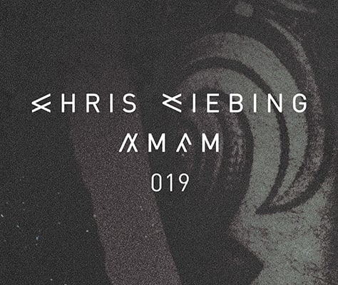 File:2015-07-20 - Chris Liebing - amfm 019.jpg
