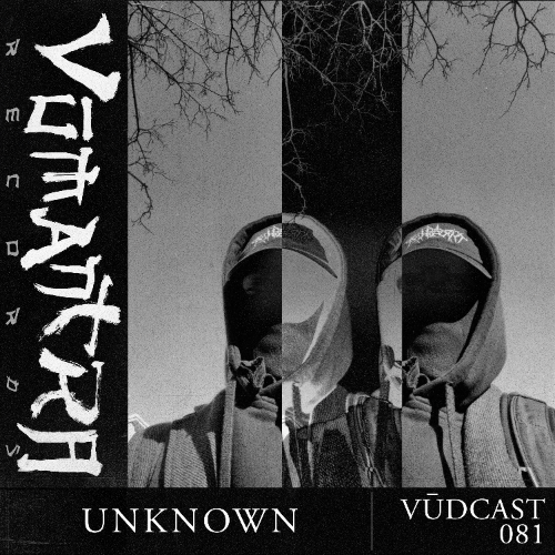 File:2026-01-29 - Unknown - Vūdcast 081.png