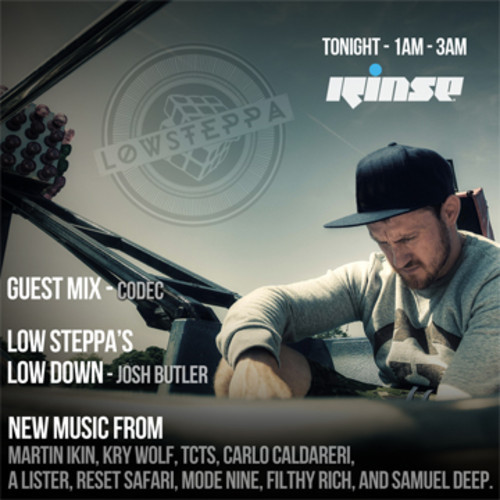 File:2014-07-18 - Low Steppa - Rinse FM.jpg