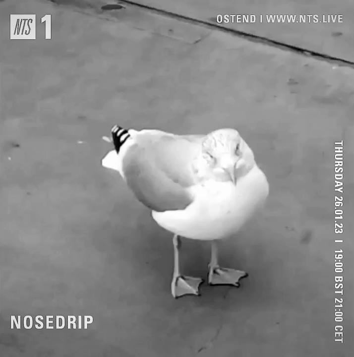 File:2023-01-26 - Nosedrip - NTS Radio.gif