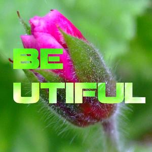 2011-07 - Bruce Haydn - Be Utiful 9.5.jpg