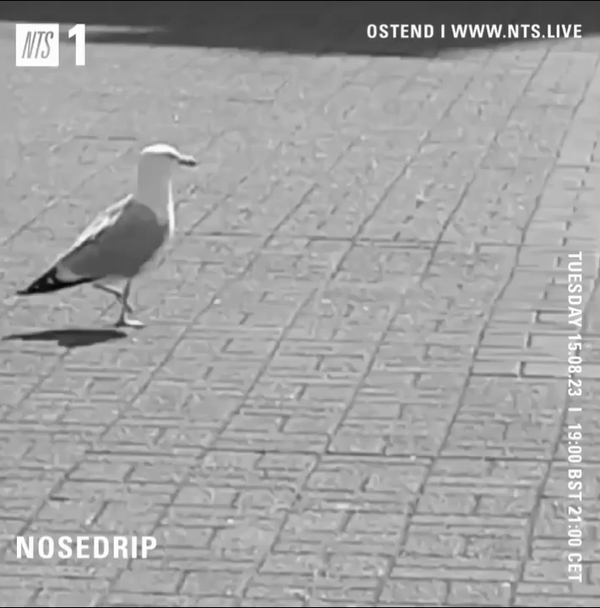 File:2023-08-15 - Nosedrip - NTS Radio.gif