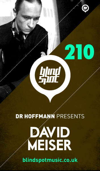 2013-06-10 - David Meiser - Blind Spot 210.jpg