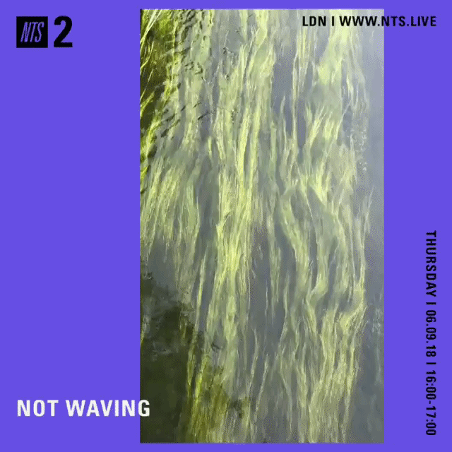 File:2018-09-06 - Not Waving - NTS Radio (Italian Minimalism Special).gif
