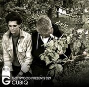 2012-04-01 - Cubiq - Gottwood 029