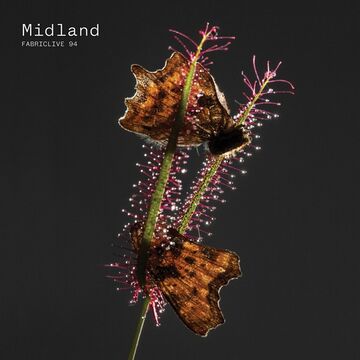2017-09 - Midland - Fabriclive 94.jpg