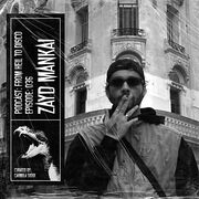 2025-06-04 - Zayd Mankai - From Hell To Disco 036