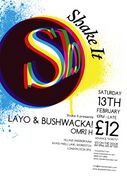 2010-02-13 - Layo & Bushwacka! @ Shake It, Village Undergr …